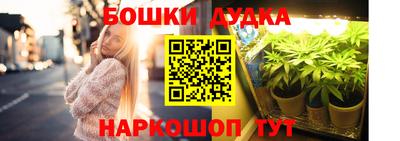 ПСИЛОЦИБИНОВЫЕ ГРИБЫ Владимир