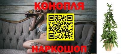 ПСИЛОЦИБИНОВЫЕ ГРИБЫ Владимир