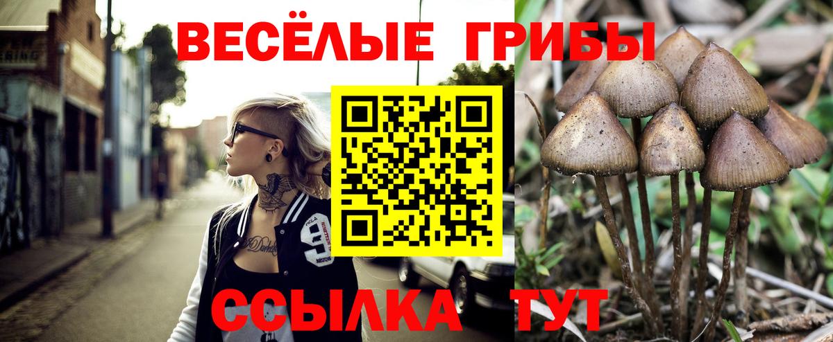 Псилоцибиновые грибы MAGIC MUSHROOMS  Вход с VPN  Бор  Галлюциногенные грибы Cubensis 